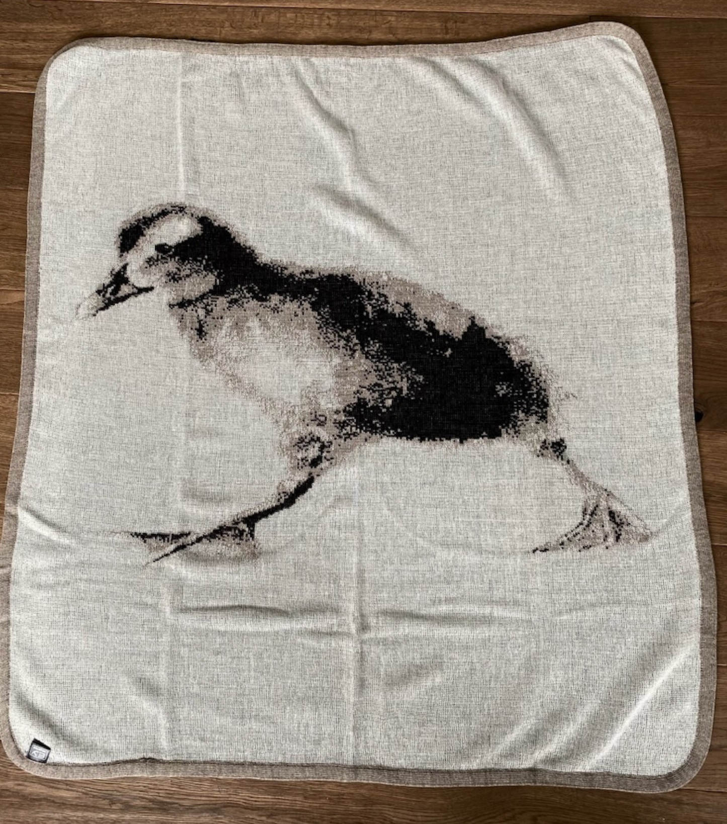 Blanket with pictures of eider duckling
