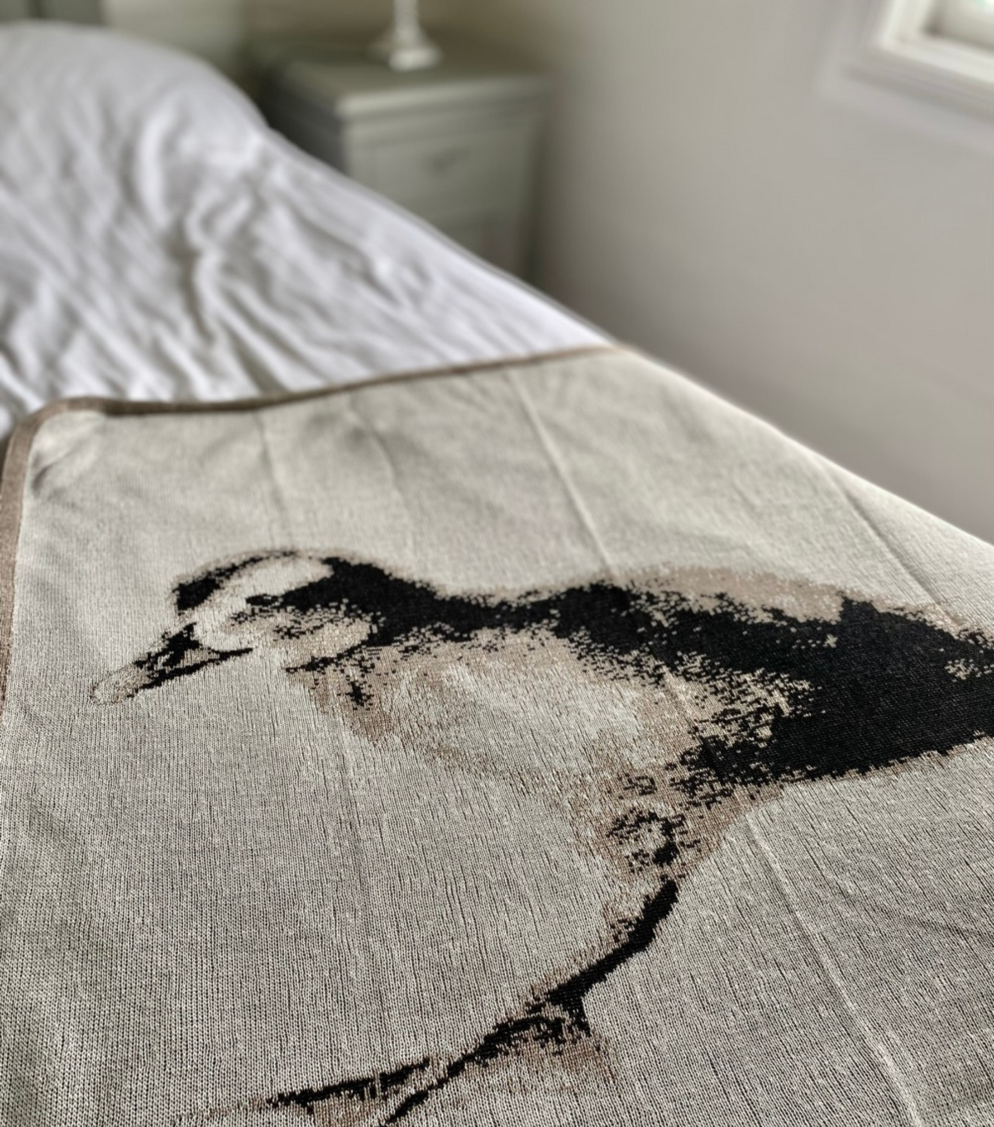 Blanket with pictures of eider duckling