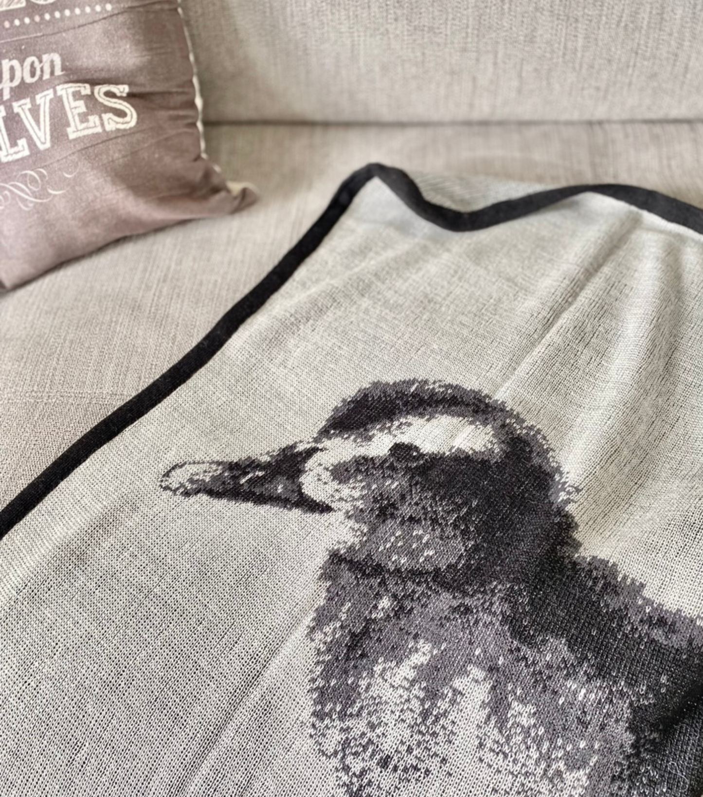 Blanket with pictures of eider duckling